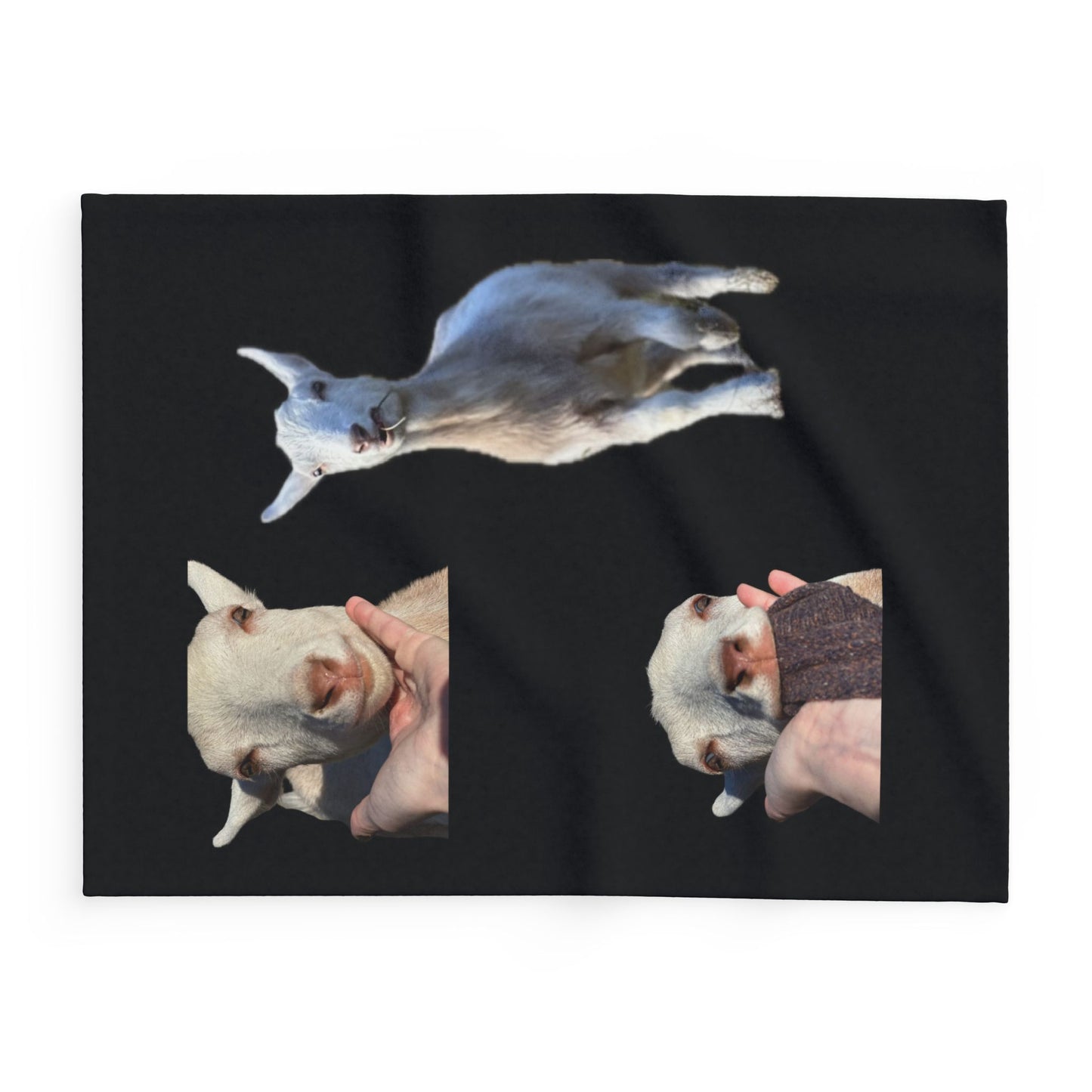 Stevana Razlaff: My Goat Arctic Fleece Blanket